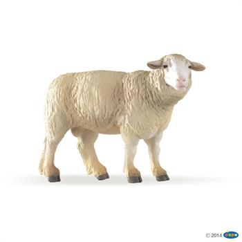 PECORA MERINOS