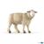 PECORA MERINOS