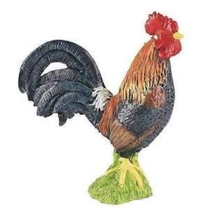 GALLO FRANCESE