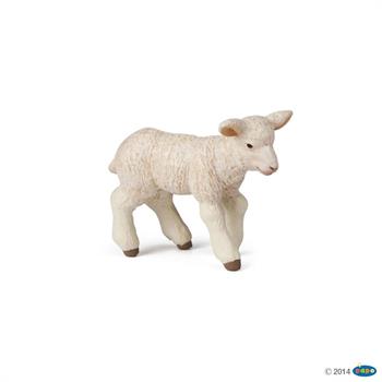AGNELLO MERINOS