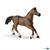 CAVALLO ANGLO ARABO