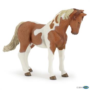 CAVALLO  PINTO