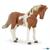 CAVALLO  PINTO