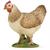 GALLINA ROSSA
