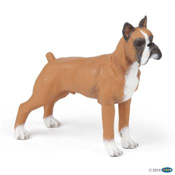 BOXER
