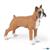 BOXER