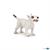 BULL TERRIER
