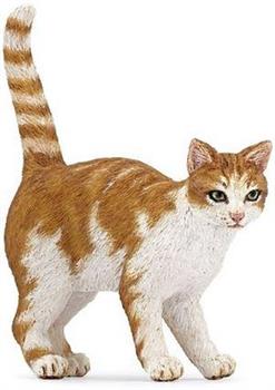 GATTO ROSSO