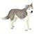 HUSKY SIBERIANO