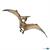 PTERANODON