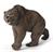 ORSO DELLA CAVERNA