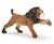 SMILODONTE RUGGENTE