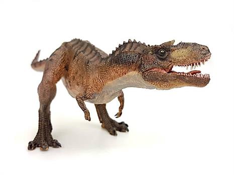 GORGOSAURO