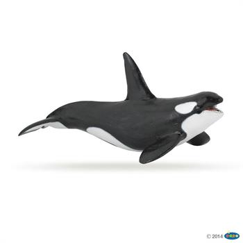 ORCA
