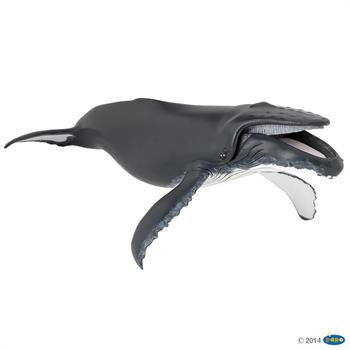 BALENA