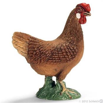 GALLINA