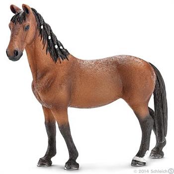 CAVALLA TRAKEHNER