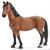 CAVALLA TRAKEHNER