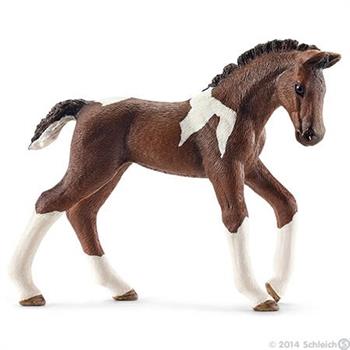 PULEDRO TRAKEHNER