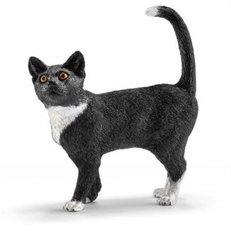 GATTO IN PIEDI