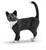 GATTO IN PIEDI