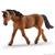 CAVALLA BASHKIR CURLY