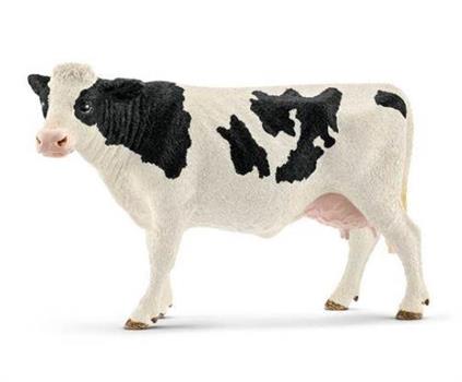 MUCCA HOLSTEIN