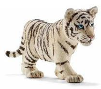 CUCCIOLO DI TIGRE BIANCA