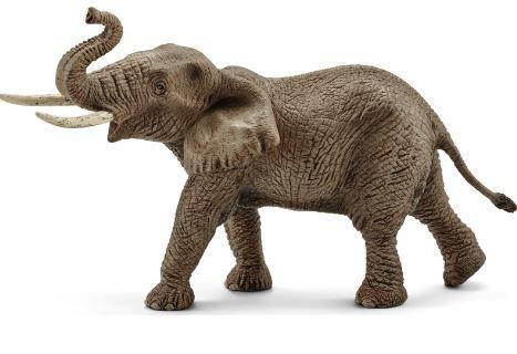 ELEFANTE AFRICANO MASCHIO