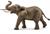 ELEFANTE AFRICANO MASCHIO