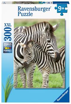 300 PZ AMORE DI ZEBRA