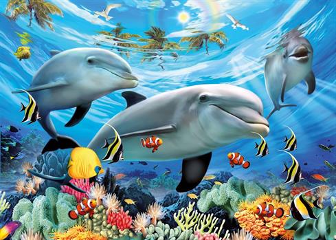 300 PZ ANIMALI NEI CARAIBI