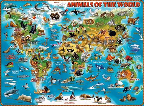 300 PZ XXL ANIMALI DEL MONDO