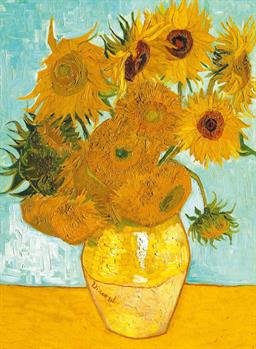 300 PZ VASO GIRASOLI
