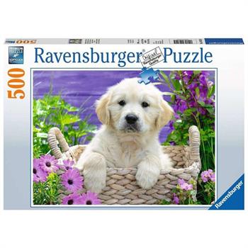 500 PZ DOLCE GOLDEN RETRIEVER