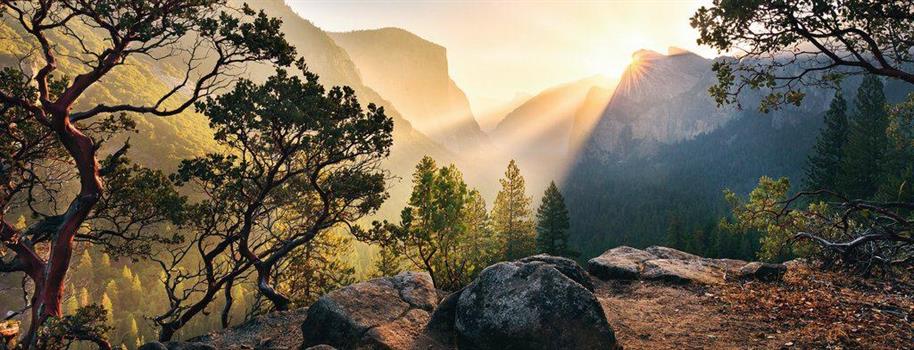 1000 PZ IL PARCO YOSEMITE