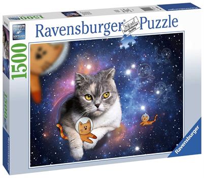 1500 PZ GATTO NELLO SPAZIO
