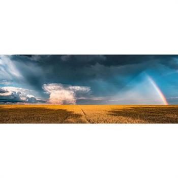 1000 PZ CAMPI DOPO LA TEMPESTA