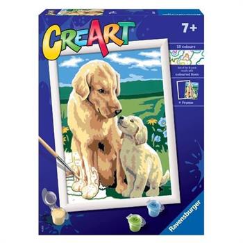 CREART - RETRIEVER SUL PRATO