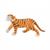 SHERE KHAN