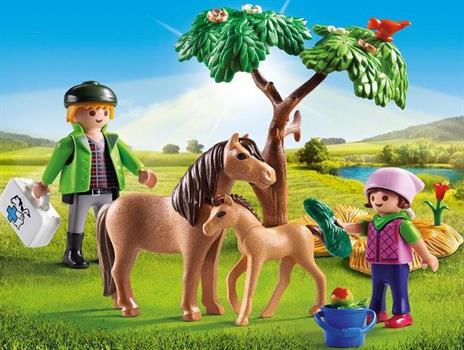 VETERINARIO DEI PONY