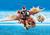 DRAGON RACING GAMBEDIPESCE E MUSCOLONE