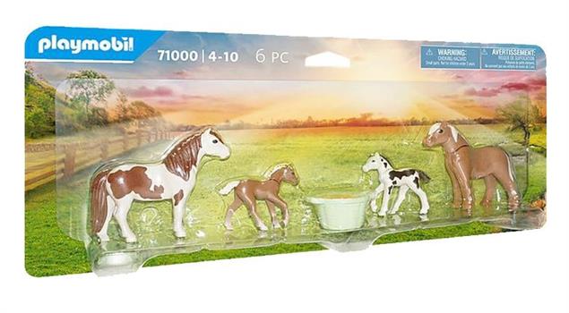 2 PONY ICELANDIC CON PULEDRI
