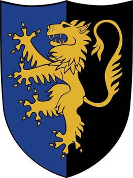 SCUDO DA CAVALIERE CON LEONE GIALLO