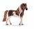 STALLONE DI PONY ISLANDESE