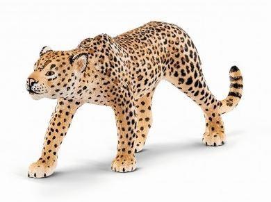 LEOPARDO