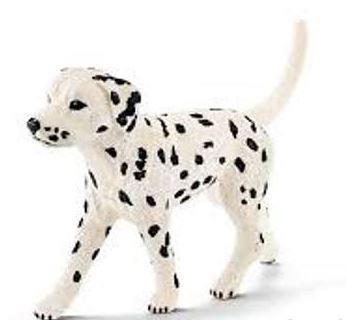 CUCCIOLO DALMATA