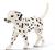 CUCCIOLO DALMATA