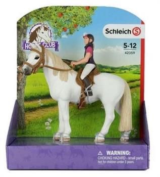 CAVALLERIZZA AMATORIALE CON CAVALLO