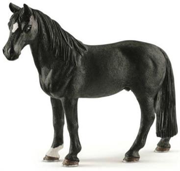 CASTRONE TENNESSEE WALKER